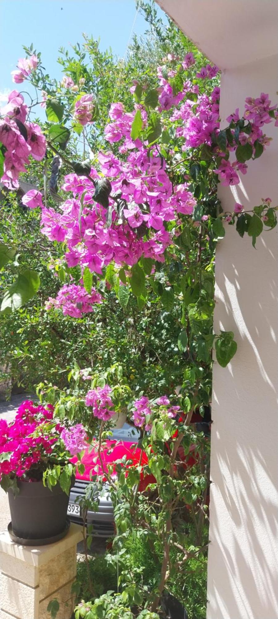 Apartmani Liberan Neum Exterior photo