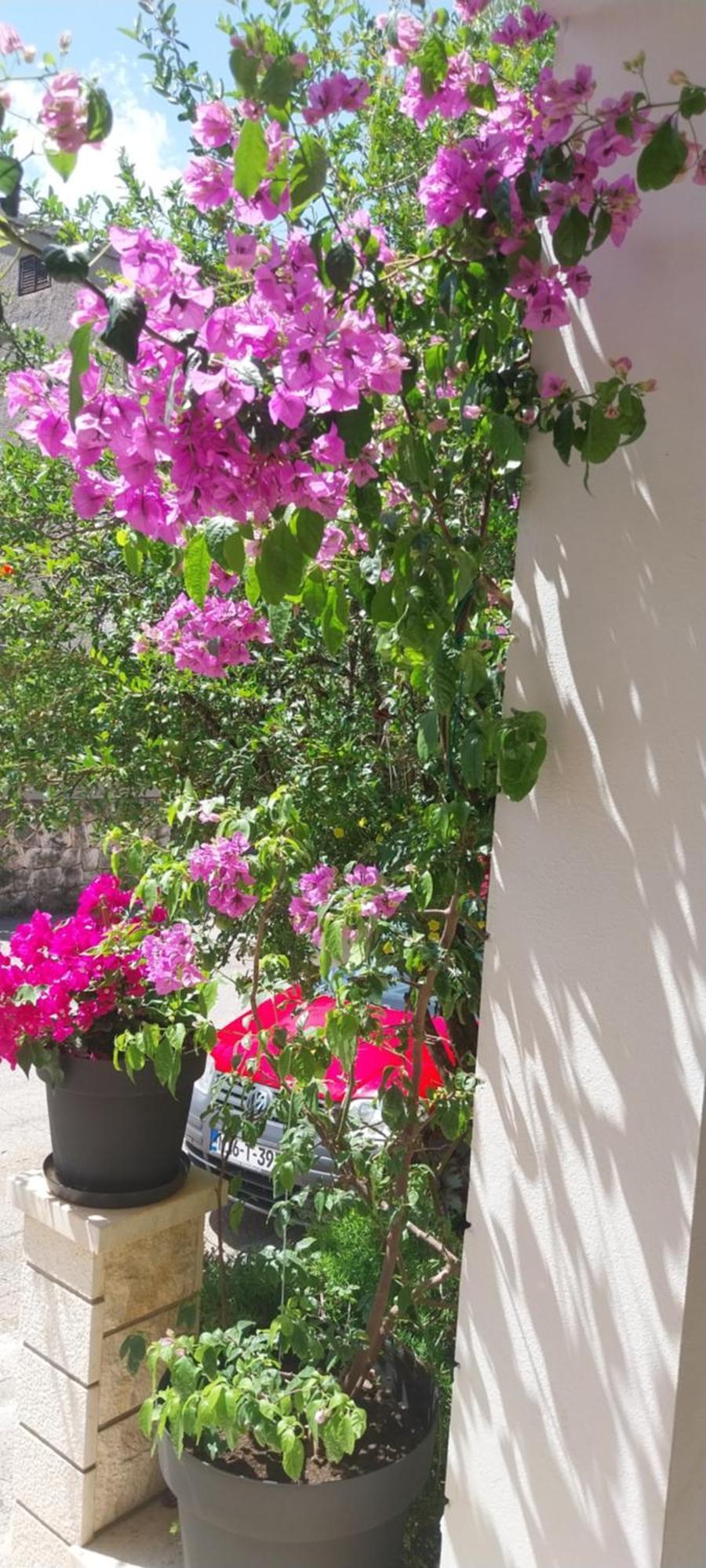 Apartmani Liberan Neum Exterior photo