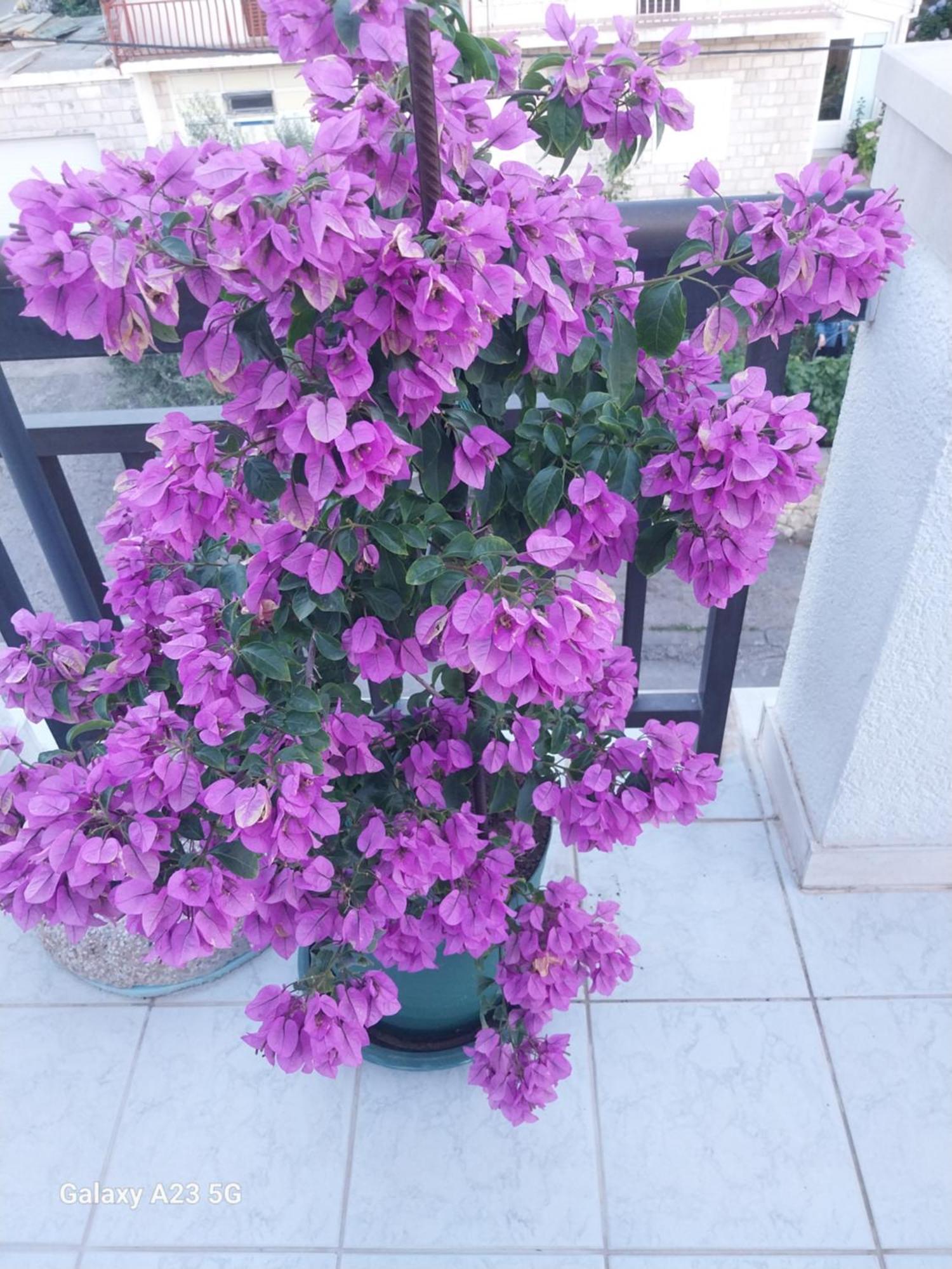 Apartmani Liberan Neum Exterior photo